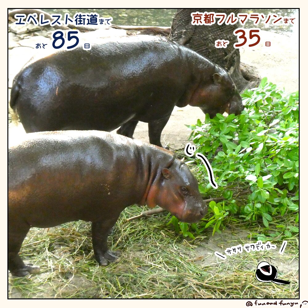 ふーさんとムーデン