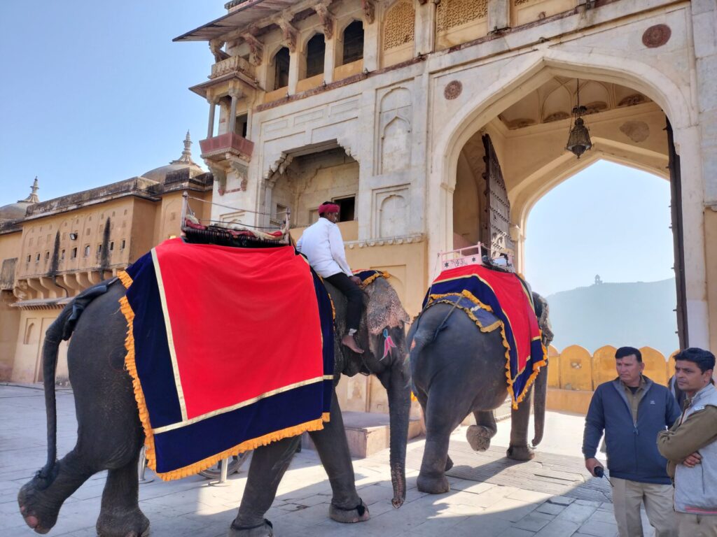 アンベール城を歩く象達